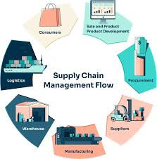 How Supply Chains Affect Business Efficiency