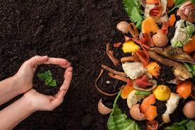 Basics of Composting for a Sustainable Garden