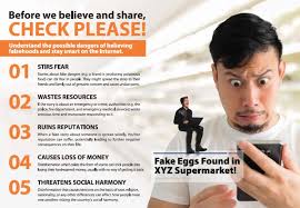 How Fact-Checking Prevents Misinformation